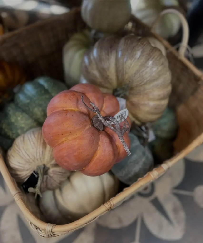 How Long Do Real vs. Faux Pumpkins Last for Decorating? 2 surceegifts 1788619148