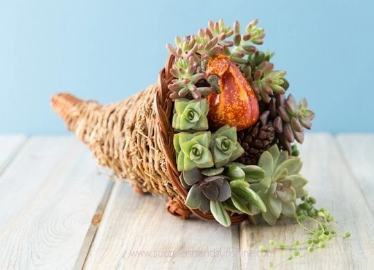 16 DIY Cornucopia Ideas That Turn a Basic Basket Into the Star of Your Fall Table 7 the.cheerful.place 1510154249